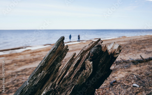 couple on the beach with driftwood on the front © Anna