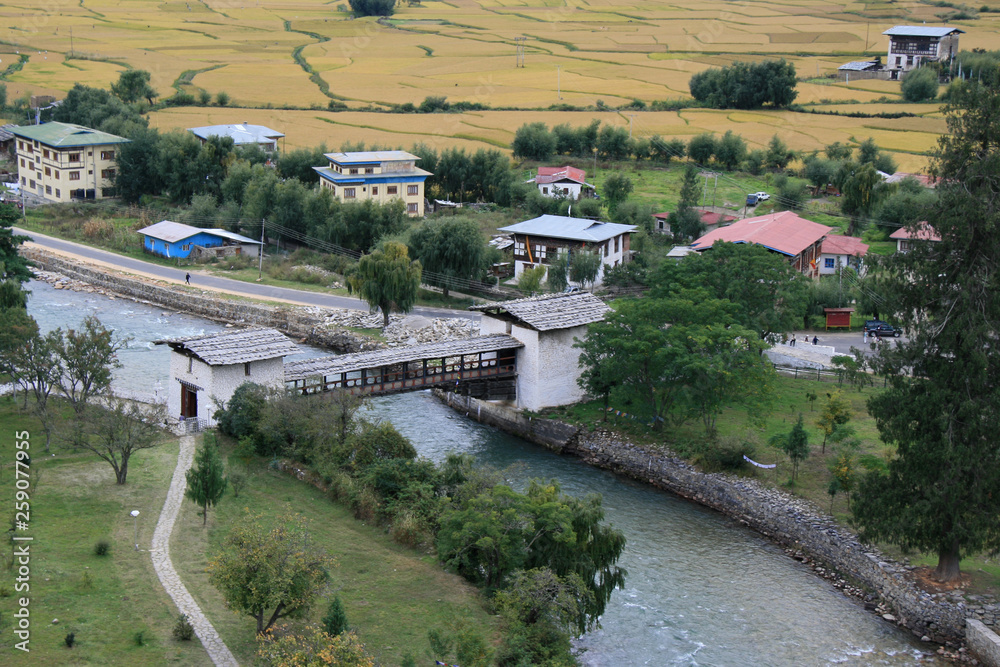 Obraz premium Bridge in Paro (Bhutan)