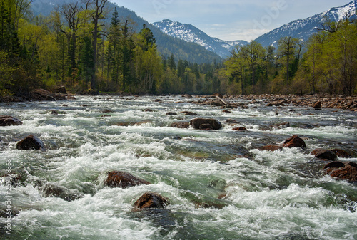 Fresh river Selenginka