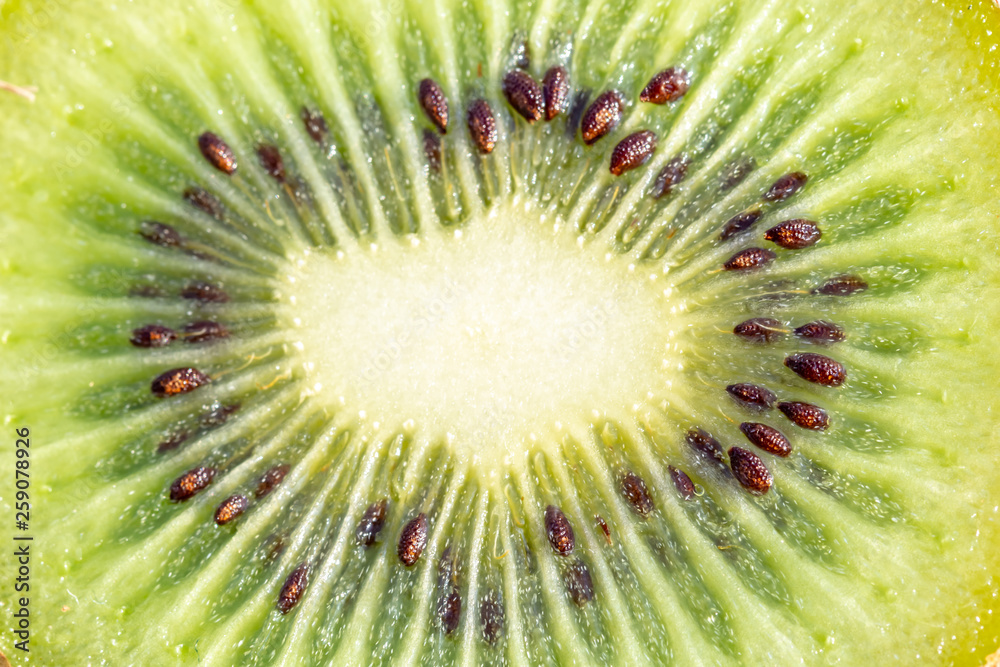 kiwi fruit with macro background kiwi fruit with macro background