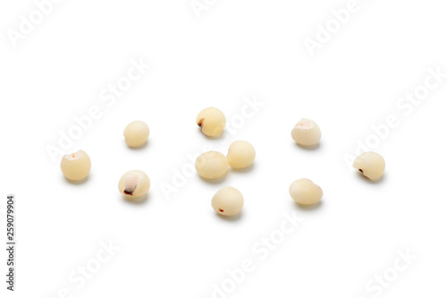 Close-up of sorghum rice isolated on white background