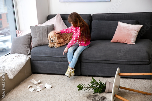 Little girl with dog, dropped houseplant and broken piggy bank on carpet