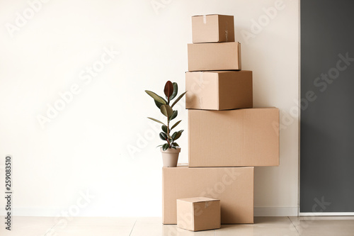 Moving boxes with plant near light wall photo