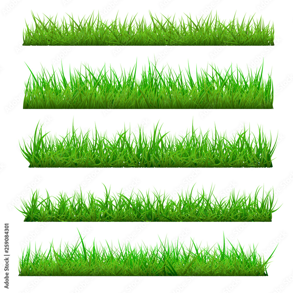 Fototapeta Set of Vector Spring Grass