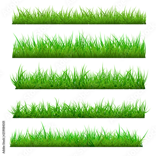 Set of Vector Spring Grass