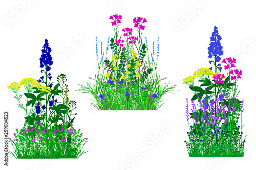 flowerbed set with flowers,summer fresh flowers,vector illustration