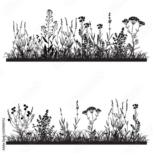 set of curbs of flowers and grass, silhouette of landscape, vector illustration
