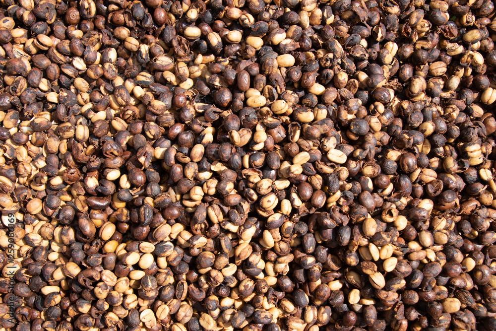 Coffee beans background.Brown roasted coffee beans pattern in coffee shop prepared for making cappuccino or latte hot drink. Coffee beans background.Brown roasted coffee beans pattern in coffee shop prepared for making cappuccino or latte hot drink.