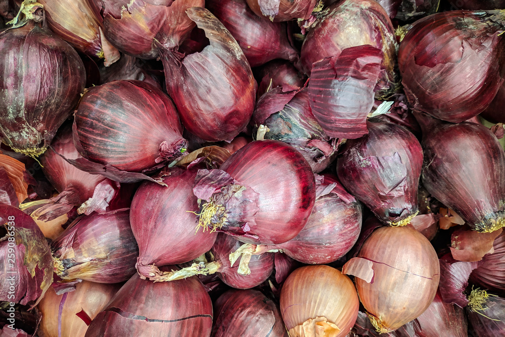 Purple onion background. Fresh onion variety grown in the shop. Purple onion for salad, entree and soup Purple onion background. Fresh onion variety grown in the shop. Purple onion for salad, entree and soup