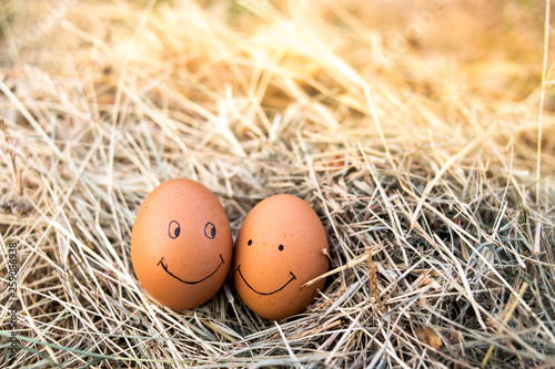 Close up of eggs with drawn funny faces on straw.
