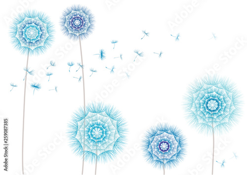 Vector floral illustration blue flowers dandelions and flying seeds