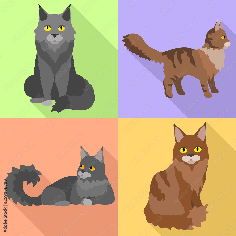 Maine coon icons set. Flat set of maine coon vector icons for web design