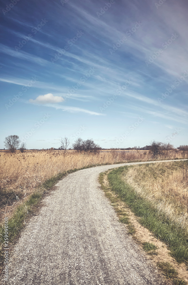 Color toned picture of a countryside road