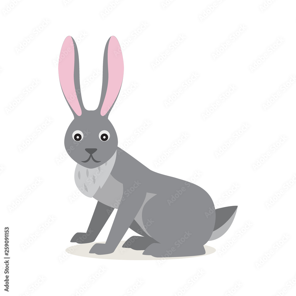 Fototapeta premium Cute gray rabbit hare isolated on white background