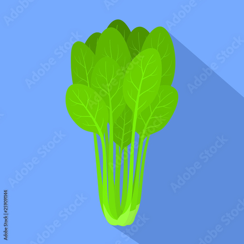 Spinach plant icon. Flat illustration of spinach plant vector icon for web design
