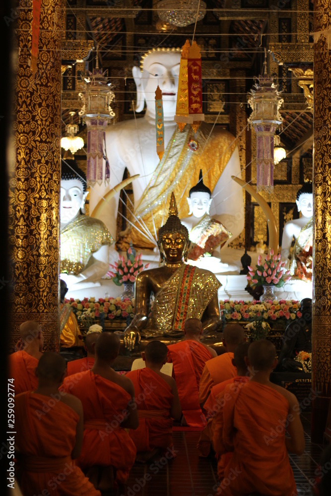buddha in the temple buddha in the temple