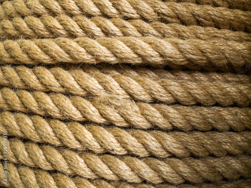 The thick rope twisted in a roll. A long rope for wide use The thick rope twisted in a roll. A long rope for wide use
