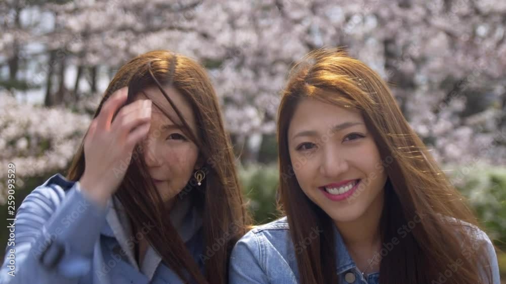 Two beautiful Japanese friends smiling enjoying cherry blossom season, 4K