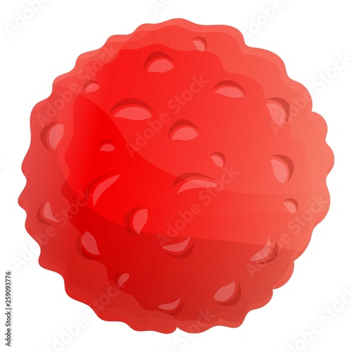 Whole lychees icon. Cartoon of whole lychees vector icon for web design isolated on white background