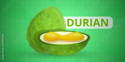 Vegan durian concept banner. Cartoon illustration of vegan durian vector concept banner for web design