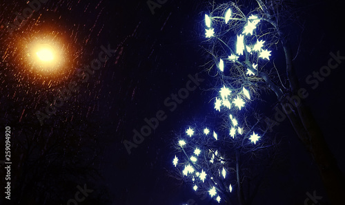 Tableau sur toile Fairy tale of Christmas night at moment when it snowed