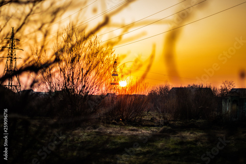sunset over the field © Андрій Полицький