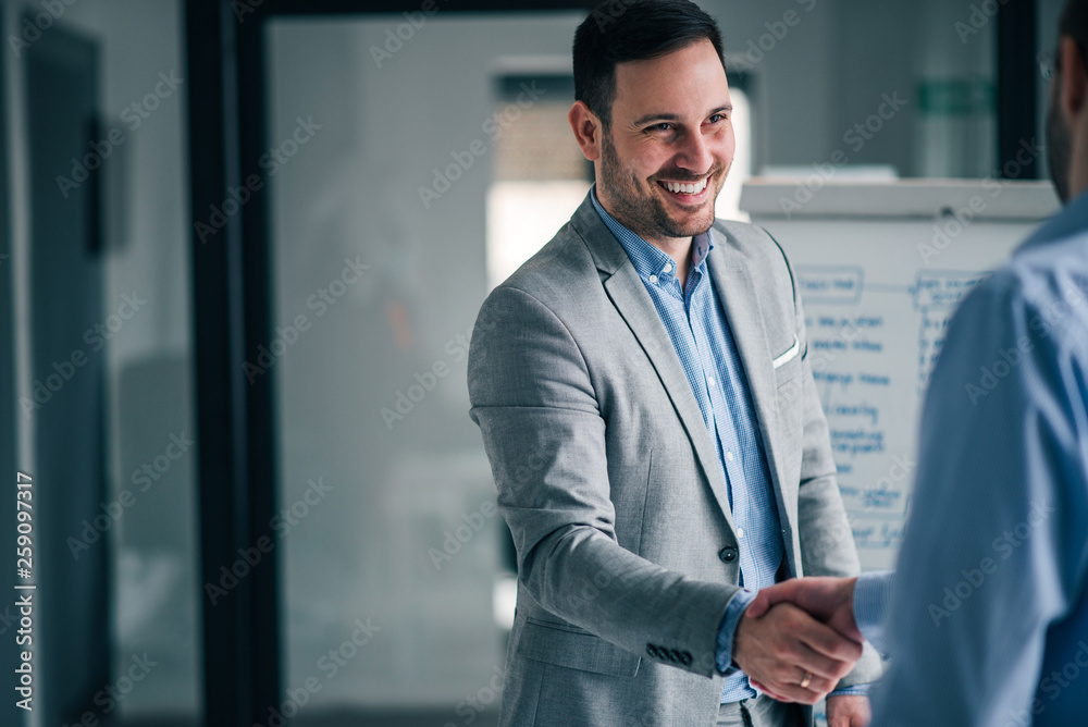 Fototapeta premium Handsome manager handshake with a colleague.