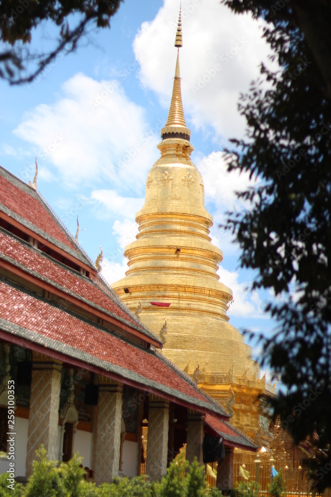Naklejka premium pagoda in the forest