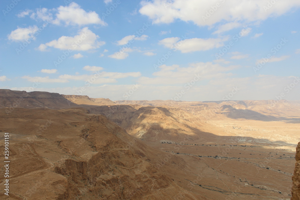 Naklejka premium Desierto