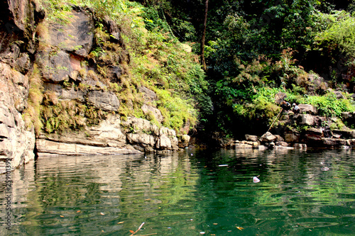 pond in the park