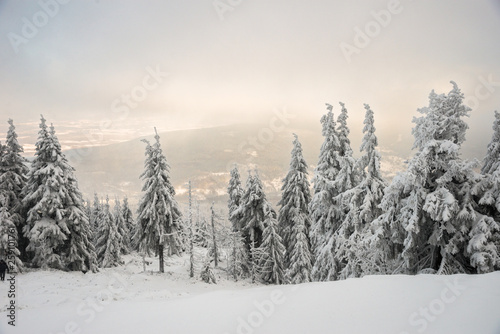 View on Swieradow Zdroj resort in snowstorm, northern slope of Jizera Mountains, Poland