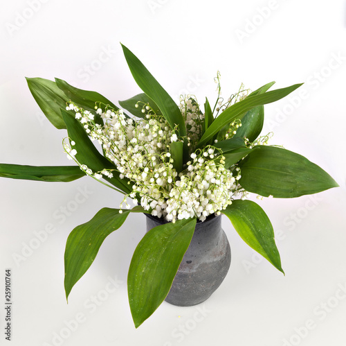 Bouquet lilies of the valleyin a clay gray vase on a white background photo