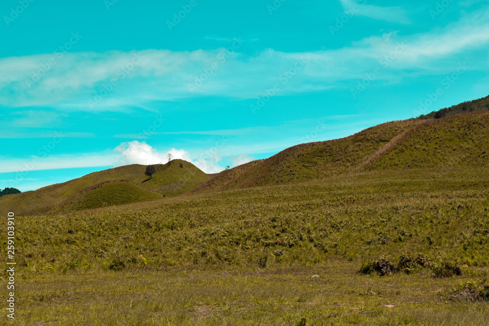 Fototapeta premium Scenic Green grass field view of rolling countryside green farm fields