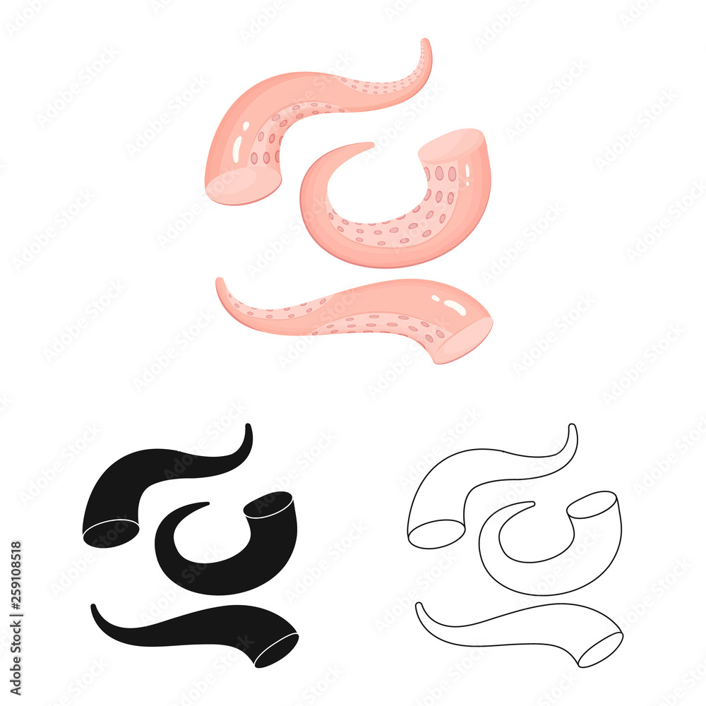 Vector illustration of fresh and restaurant sign. Collection of fresh and marine stock symbol for web. Vector illustration of fresh and restaurant sign. Collection of fresh and marine stock symbol for web.