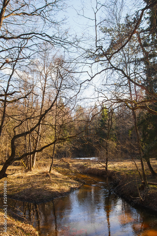 Forest River in the early spring at sunset