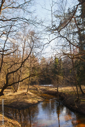 Forest River in the early spring at sunset © WoodHunt
