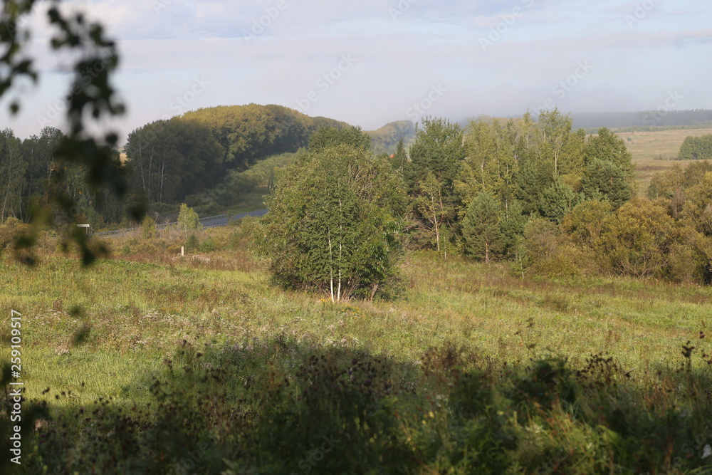 landscape with trees and blue sky landscape with trees and blue sky