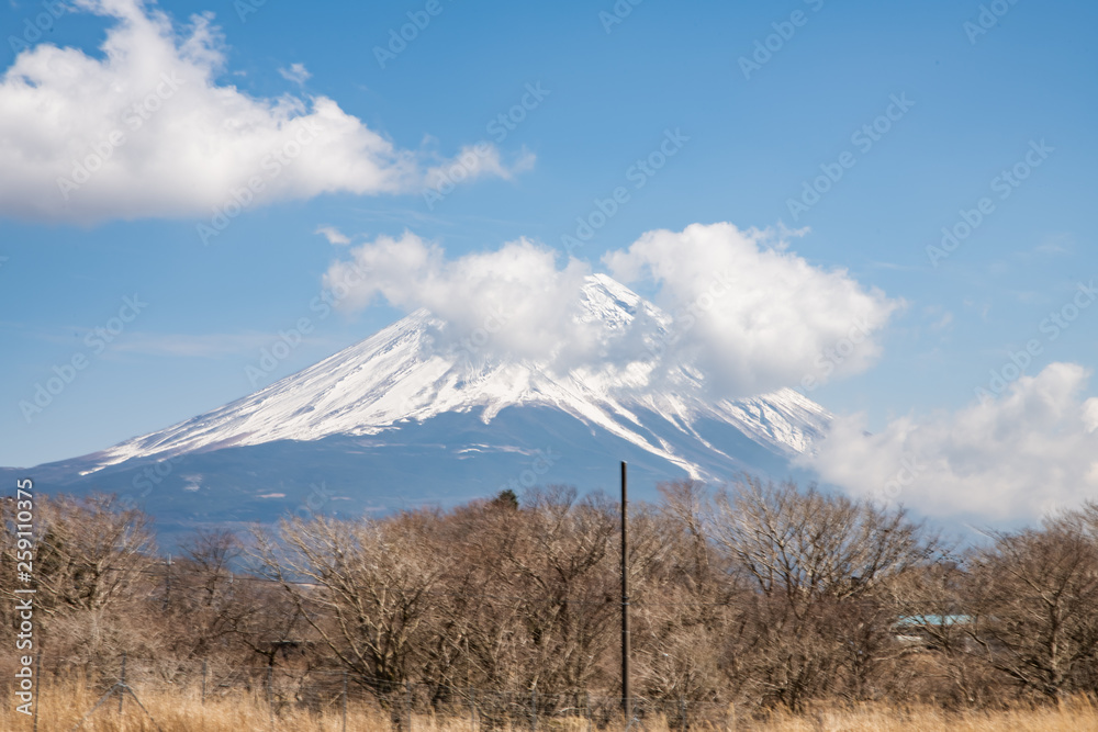 Fototapeta premium 早春の富士山
