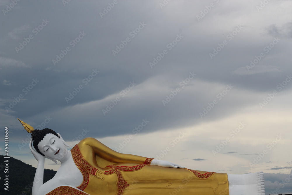 Fototapeta premium airplane in sky