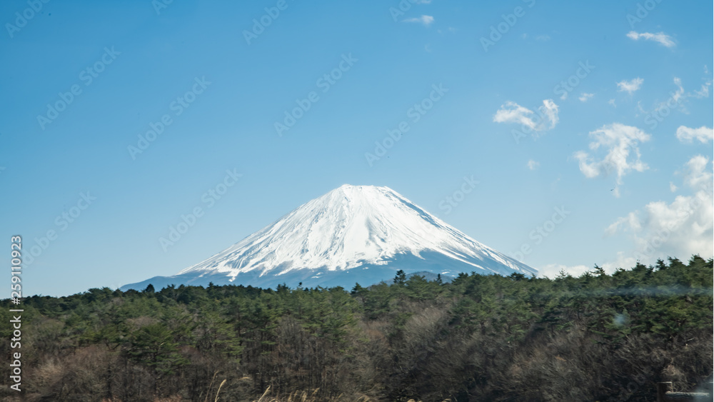 Fototapeta premium 早春の富士山