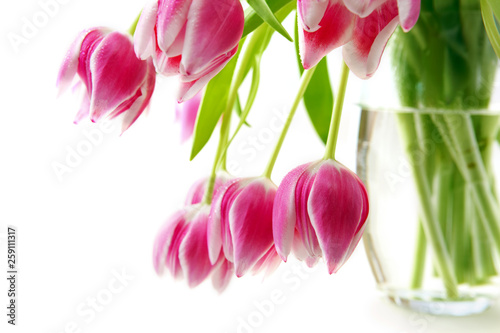 Bouquet of tulips isolated on white background.Spring greeting card.