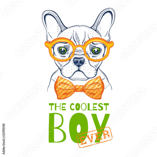 Cute bulldogdog t-shirt print design. Cool animal vector in doodle hand drawn style for tee, child, baby funny apparel. Puppy character poster hipster element. Fashion illustration isolated on white photo