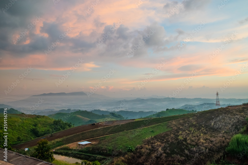 Fototapeta premium Golden sky with sea of mist in the morning and layer of mountain scene 
