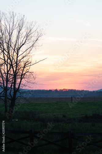Fototapeta Naklejka Na Ścianę i Meble -  Hazy Albama sunset	