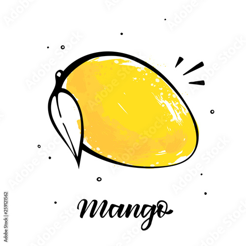 Mango exotic fruit illustration in sketch style. Isolated vector on white background. 