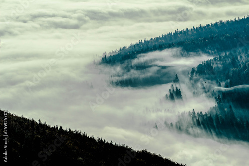 Fototapeta Naklejka Na Ścianę i Meble -  Beskidy