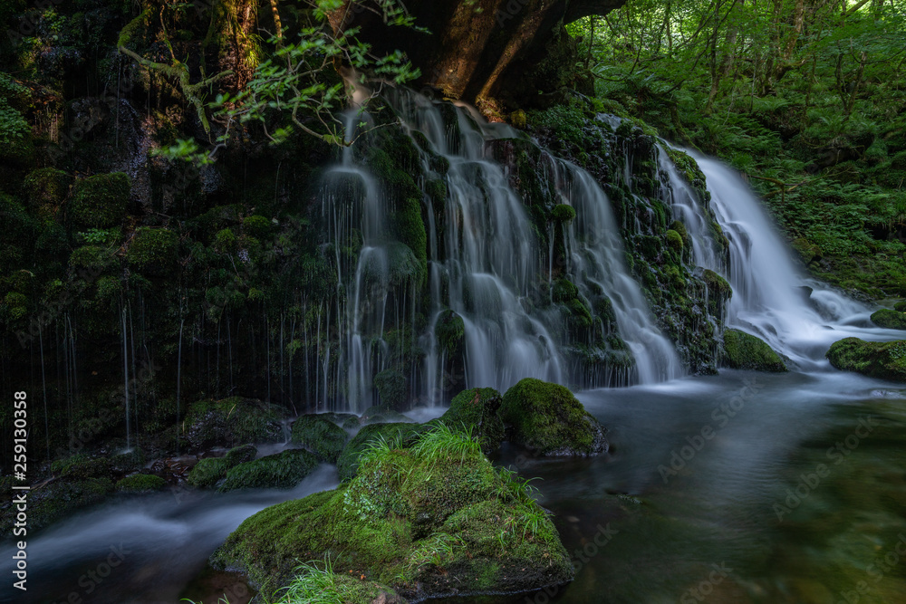 Fototapeta premium Akita Prefecture original waterfall subsoil water