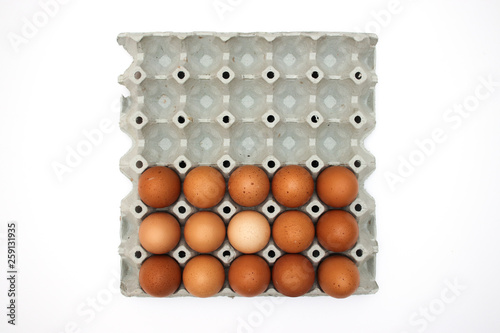 Eggs on white background