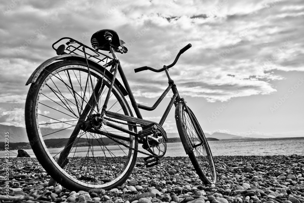 Obraz premium vintage bicycle by the sea. Monochrome (black and white). Tourism i in Abkhazia.