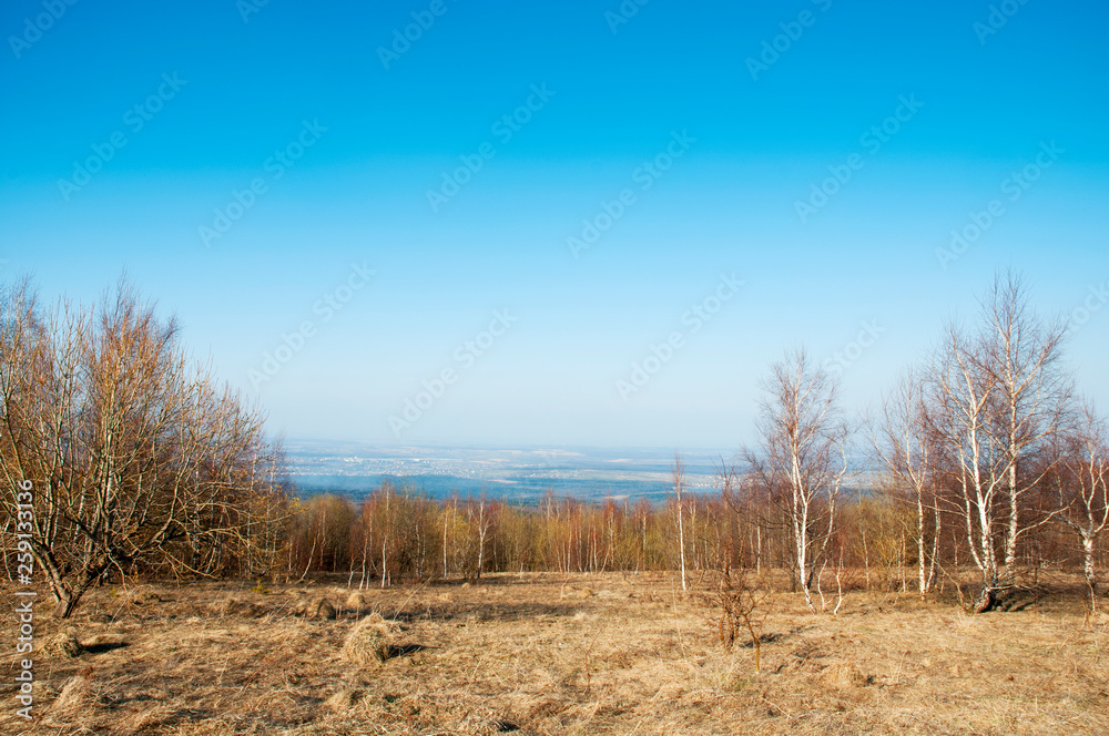 A beautiful spring day in the open-air valleys against the background of the forest and the blue sky